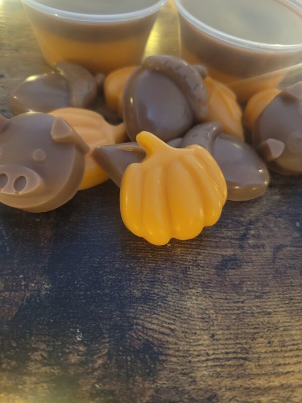 fall wax melts