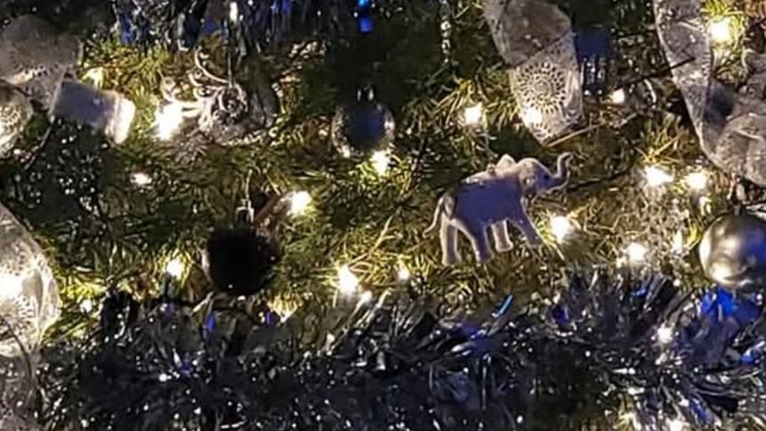 christmas tree with white elephant ornament