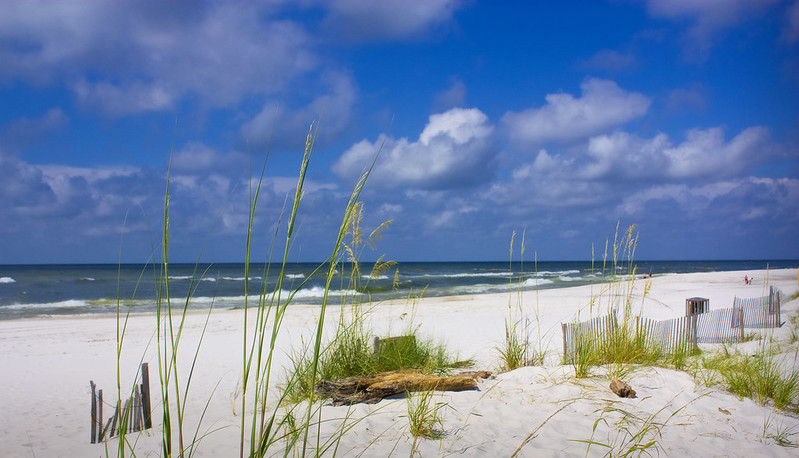 Gulf Shores alabama beach