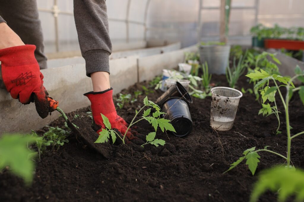 planting garden