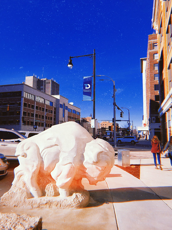 buffalo downtown Topeka