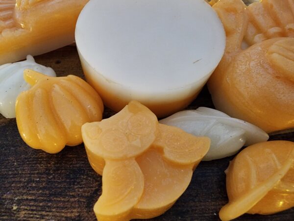 owl pumpkin creme latte wax melts