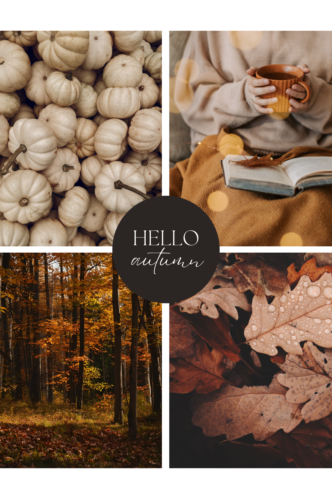 neutral fall collage