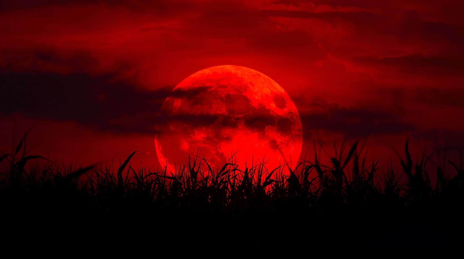 the corn moon