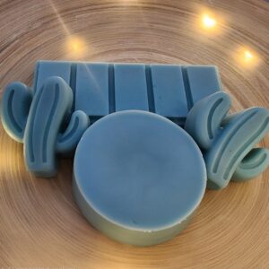 Mojave wax melts shapes like cactus, tarts and snap bars